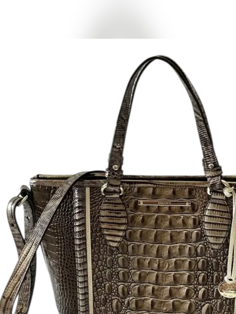Brahmin Asher Satchal Crossbody In Elmwood Padua Melbourne Leather EUC W/ Dusty